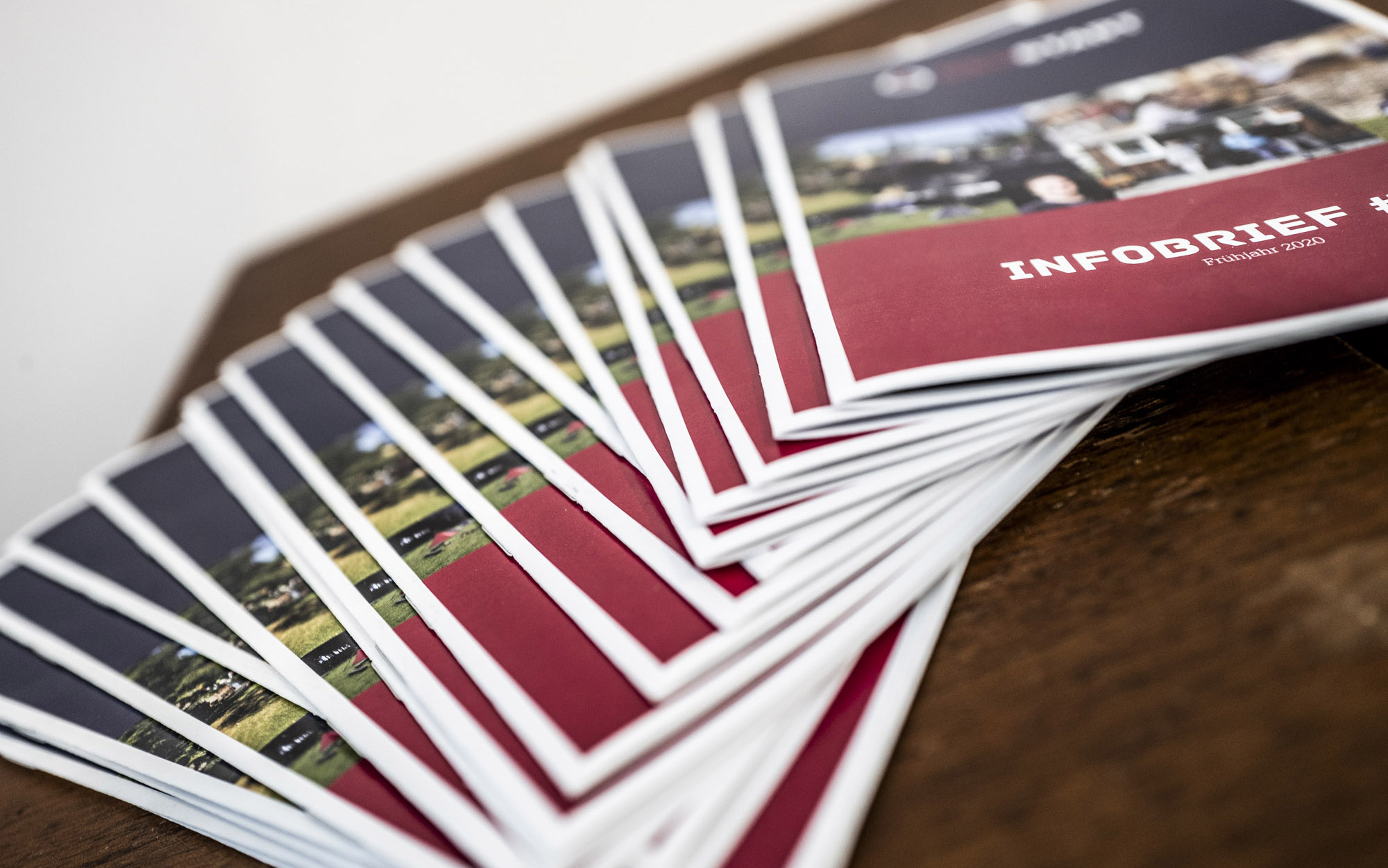 infobrief 53 Neustart Breitscheid