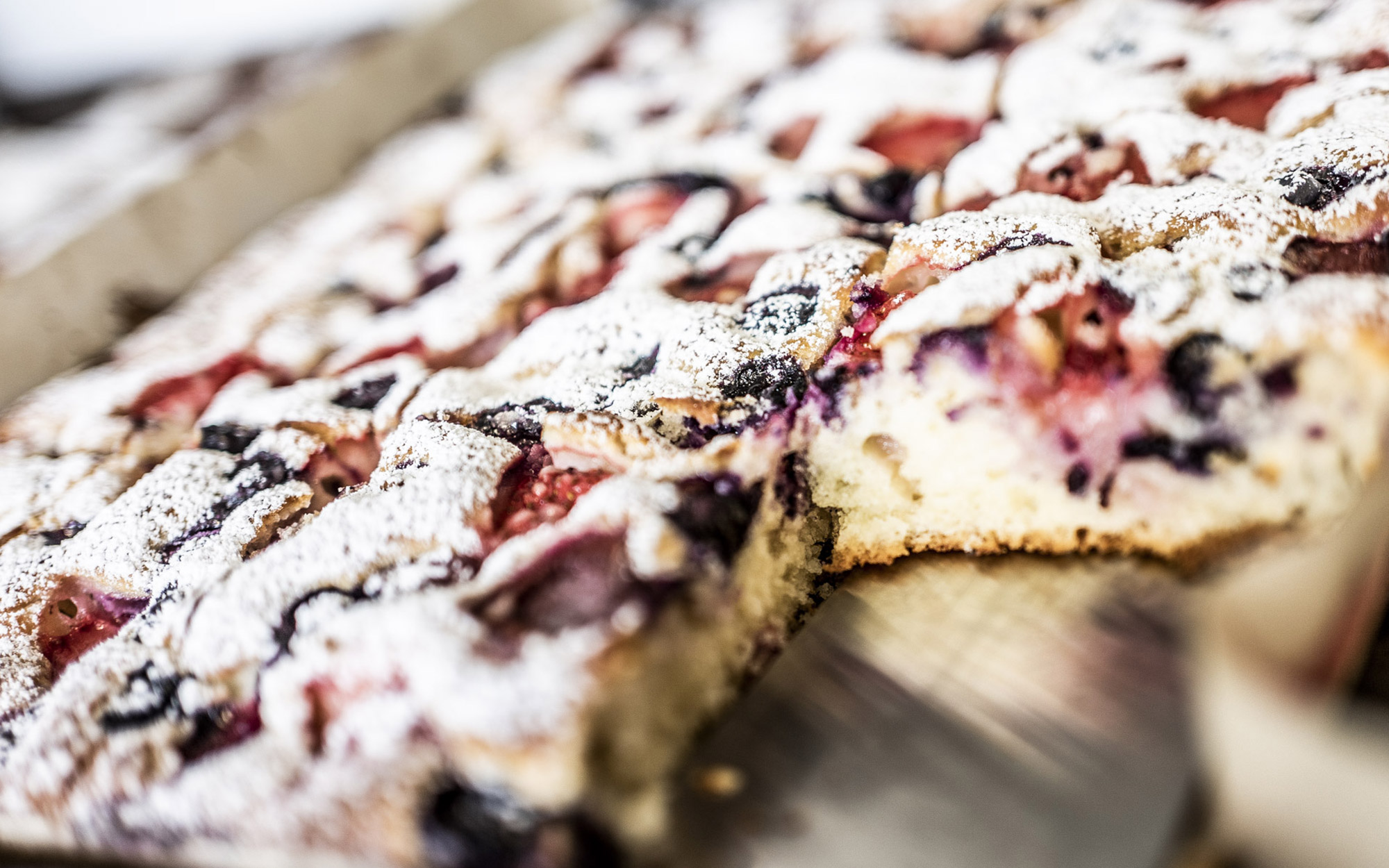 "Hofgut Begegnungen" 3 NEUSTART e.V.