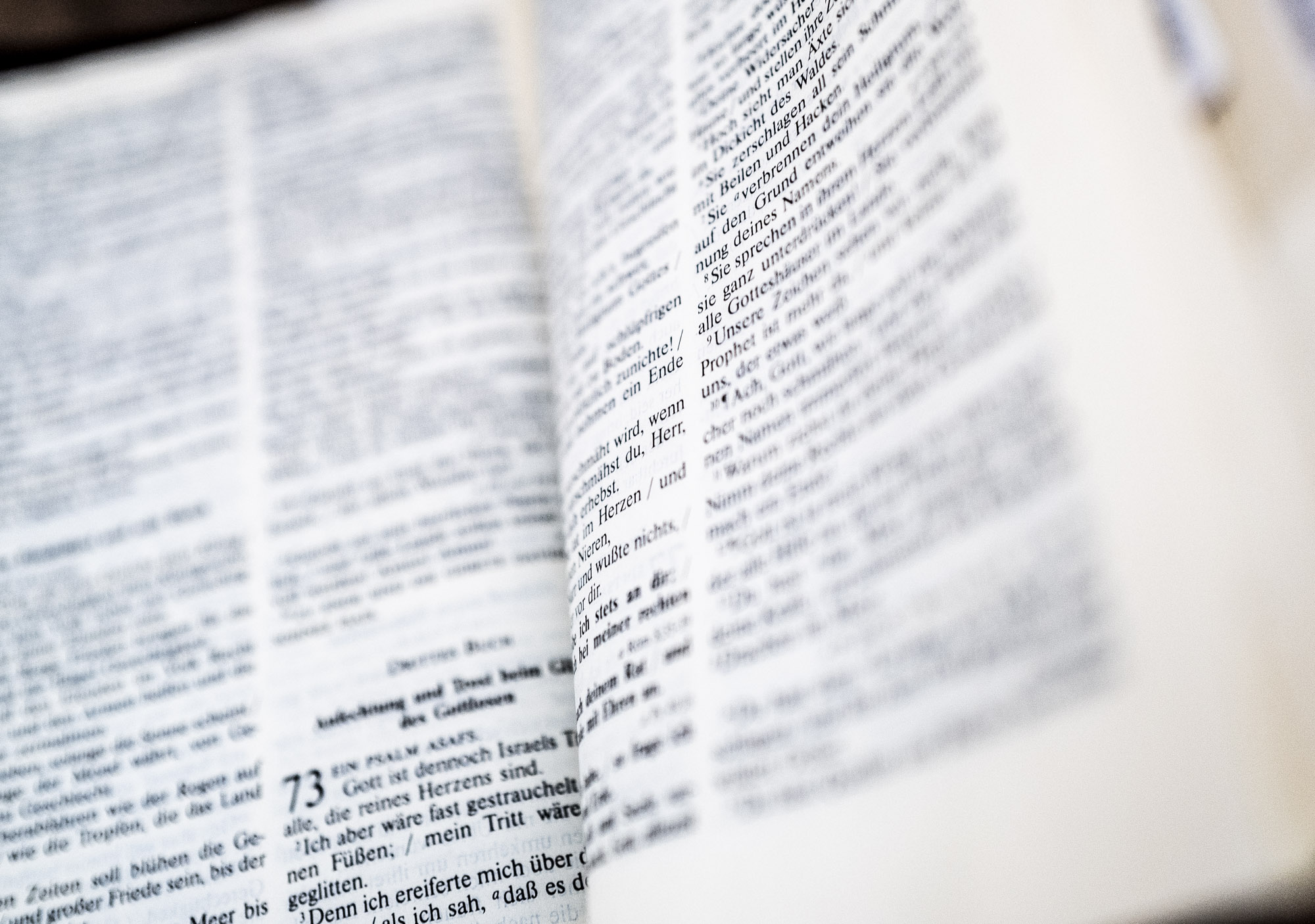 Foto-Video 170 Neustart Breitscheid