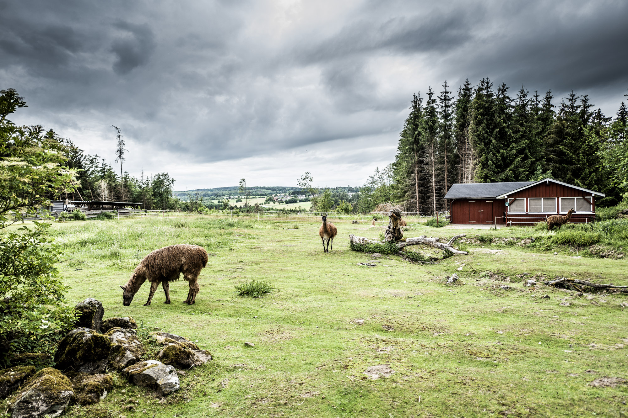 Foto-Video 175 Neustart Breitscheid